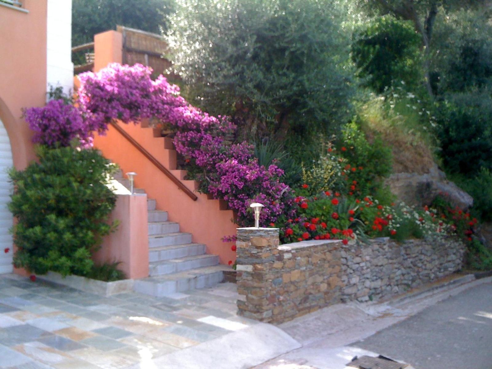 U Sant'Agnellu Ξενοδοχείο Rogliano Εξωτερικό φωτογραφία